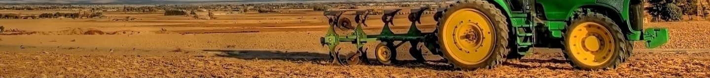 Протравка семян озимой пшеницы СПК Нива в Пензенской области  