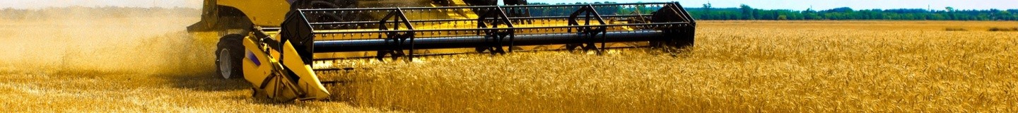 Россия побила рекорд по объему экспорта зерна в Китай