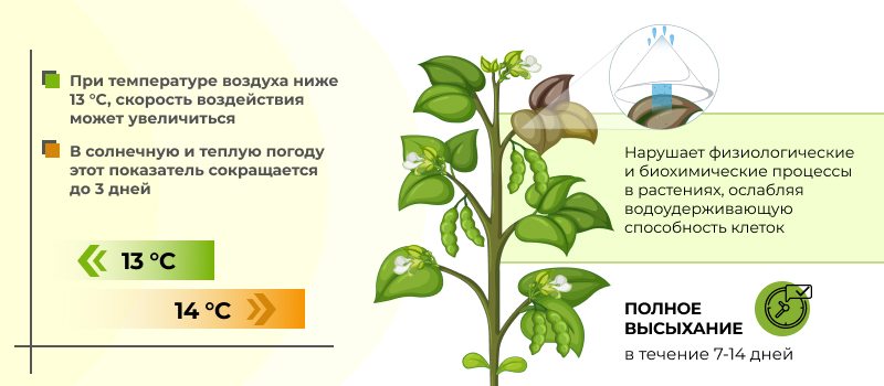 Механизм действия Диктатор