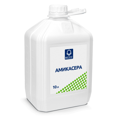 Амикасера