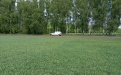 Фунгицидная защита посевов зерновых - Image preview 2