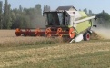Тамбовская область – один из лидеров по производству зерна в ЦФО - Image preview 1
