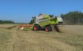 Тамбовская область – один из лидеров по производству зерна в ЦФО - Image preview 2