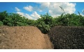Защита картофеля в Брянской области - Image preview 1