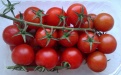 Чудесный помидор - Image preview 3