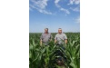  Цицерон на защите кукурузы - Image preview 1