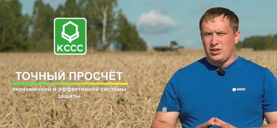 Особенности системы защиты яровой пшеницы в Новосибирской области препаратами Кирово-Чепецкой Химической Компании