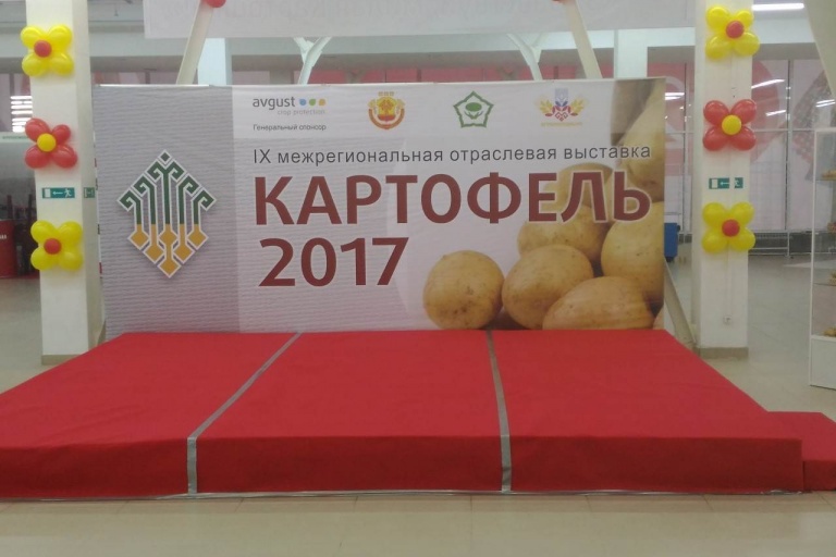 Картофель-2017