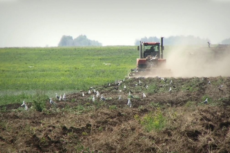 Агрохолдинги или фермеры: кого будет поддерживать государство