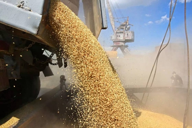 Минсельхоз распределил квоту на экспорт зерна