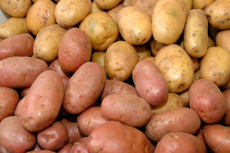 Подкормка и профилактика  для крупных клубней картофеля
