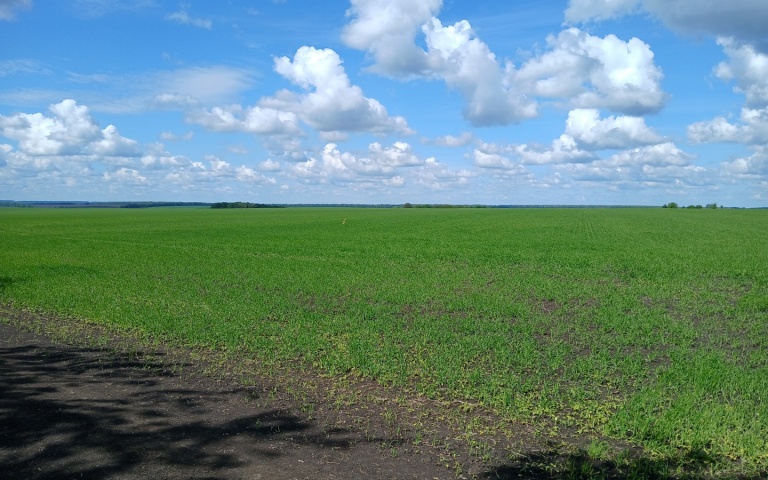 Treatment with products Trade House «KCCC»