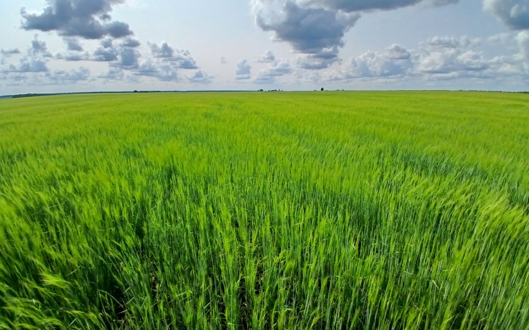 Treatment with products Trade House «KCCC»