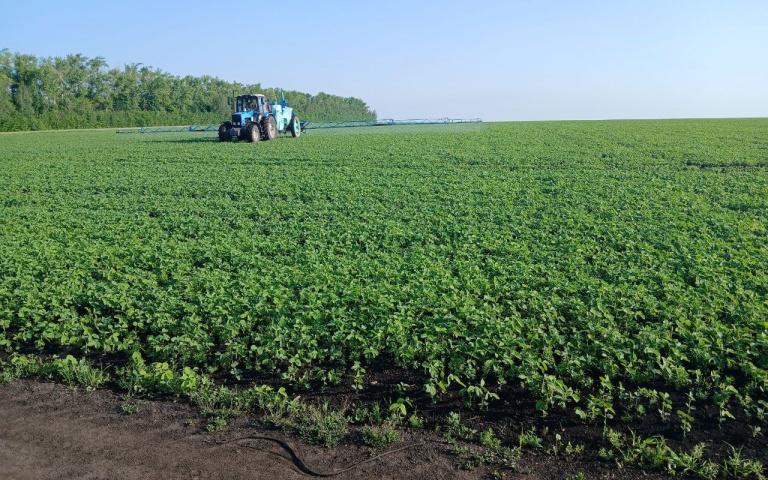 Treatment with products Торговый Дом «Кирово-Чепецкая Химическая Компания»